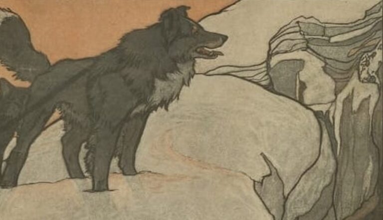 On the Poetics of Canine Narration