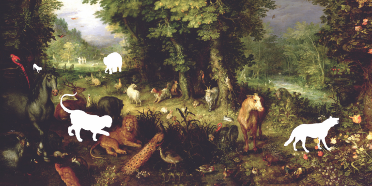 What We Lose in the Face of Extinction