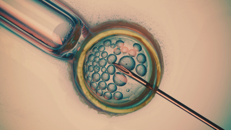 Who Gets to Have a Baby in America? On the High Cost of Fertility in America