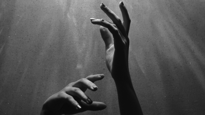 Embodied, Unbodied, and the Body Destroyed: Five Books About the Body