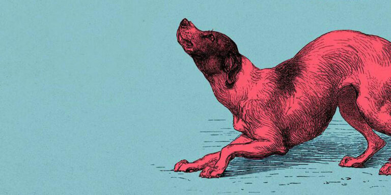 The 12 Best Book Covers of September