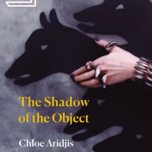 The Shadow of the Object