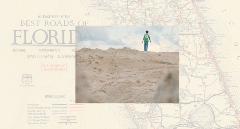 Here is the Cover For All This Beauty, a New Anthology of Florida Writing