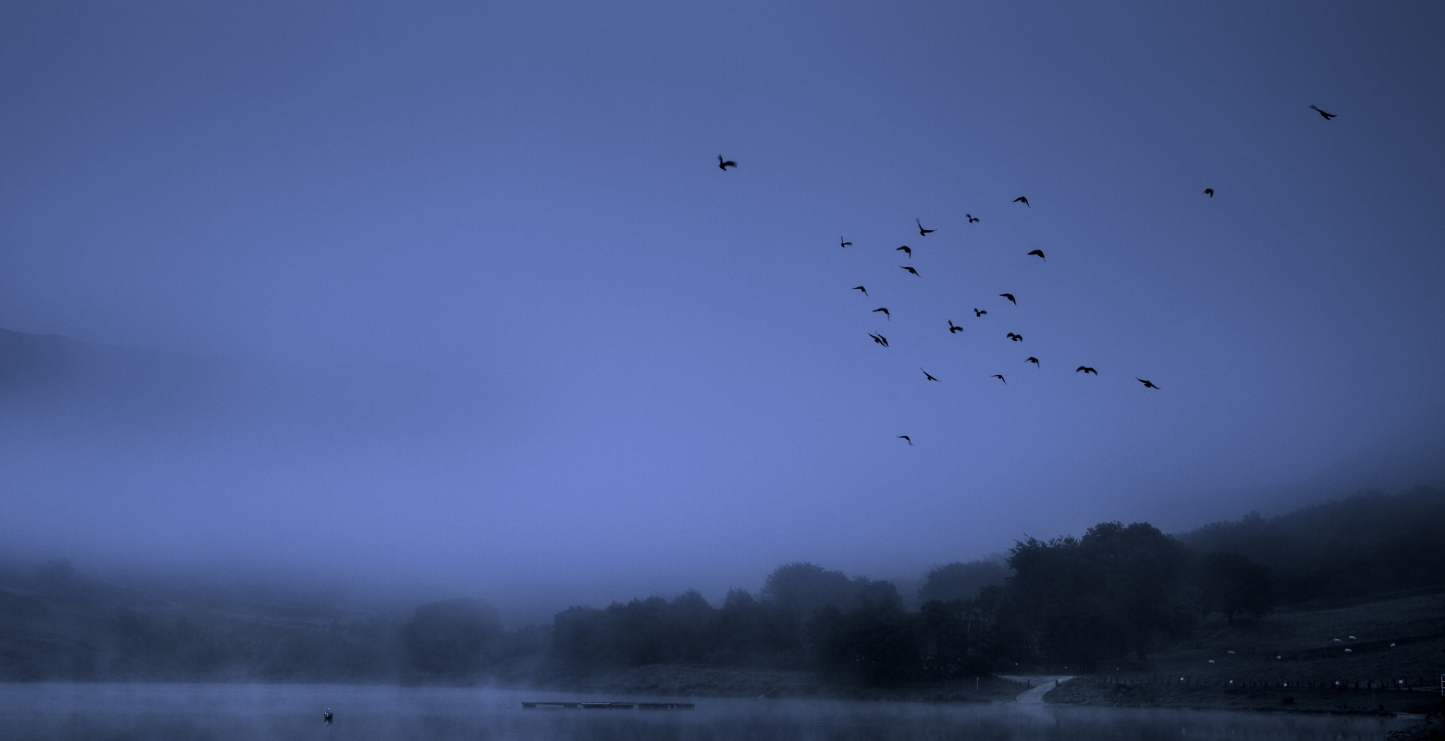 How Navigating the Demands of Academia Helped Me Cope With Terrible Loss