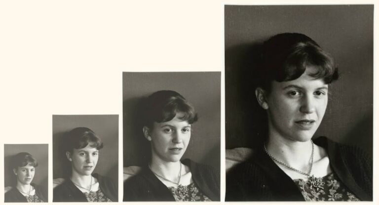 On the Life-and-Death Cycles at the Heart of Sylvia Plath’s Work