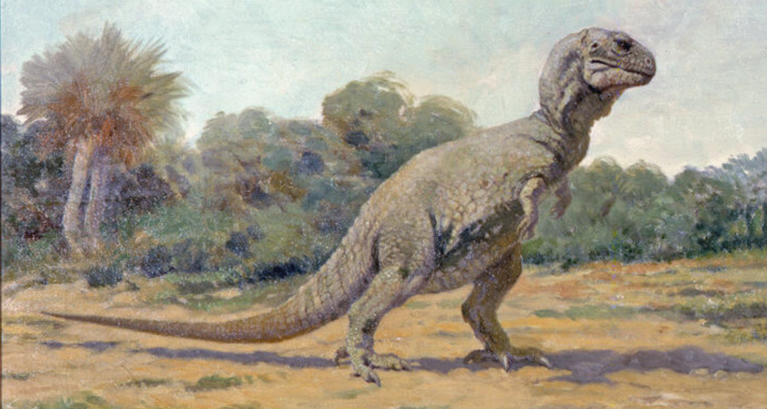 A Day in the Life of a Baby Tyrannosaurus Rex