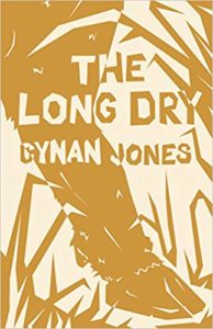 The Long Dry Cynan Jones