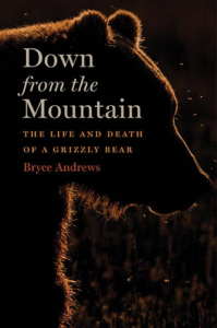 Down from the Mountain: The Life and Death of a Grizzly Bear_Bryce Andrews