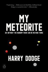 My Meteorite: Or, Without the Random There Can Be No New Thing_Harry Dodge