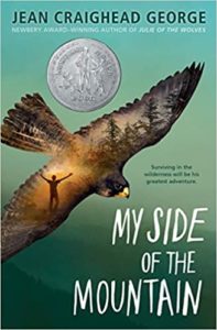 My Side of the Mountain by Jean Craighead George