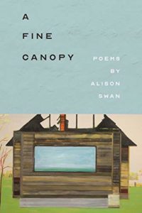 A Fine Canopy by Alison Swan