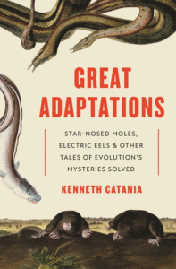 Great Adaptations_Kenneth Catania