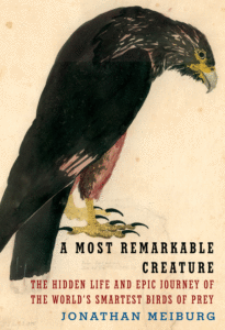 A Most Remarkable Creature_Jonathan Meiburg