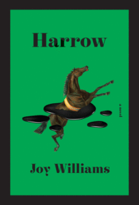 Joy Williams_Harrow