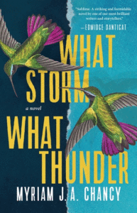 What Storm, What Thunder_Myriam J A Chancy