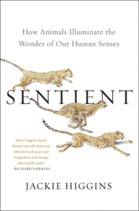 Sentient: How Animals Illuminate the Wonder of Our Human Senses_Jackie Higgins