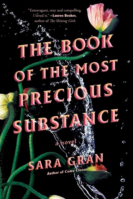 The Book of the Most Precious Substance_Sara Gran
