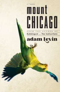 Mount Chicago Adam Levin