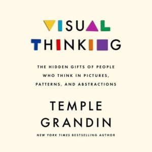 Visual Thinking