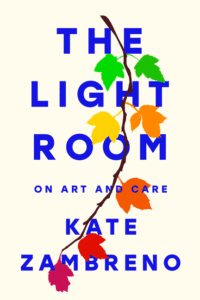 Zambreno, Kate_The Light Room Cover