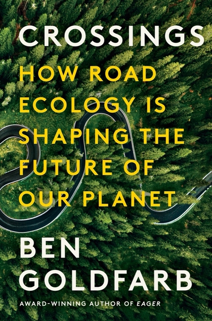 Fen, Bog & Swamp' explains the history of the wetlands : NPR's Book of the  Day : NPR