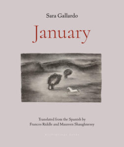 January Sara Gallardo