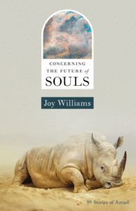 Concerning the Future of Souls Cover