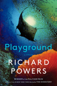 Playground Cover