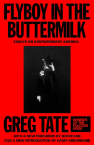 Flyboy in the Buttermilk: Essays on Contemporary America Cover