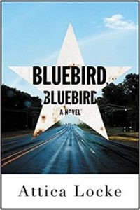 bluebird bluebird