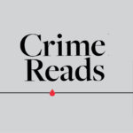 essay about crime novels