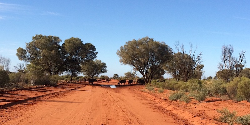 Outsiders in the Bush: Garry Disher on Australian Outback Noir