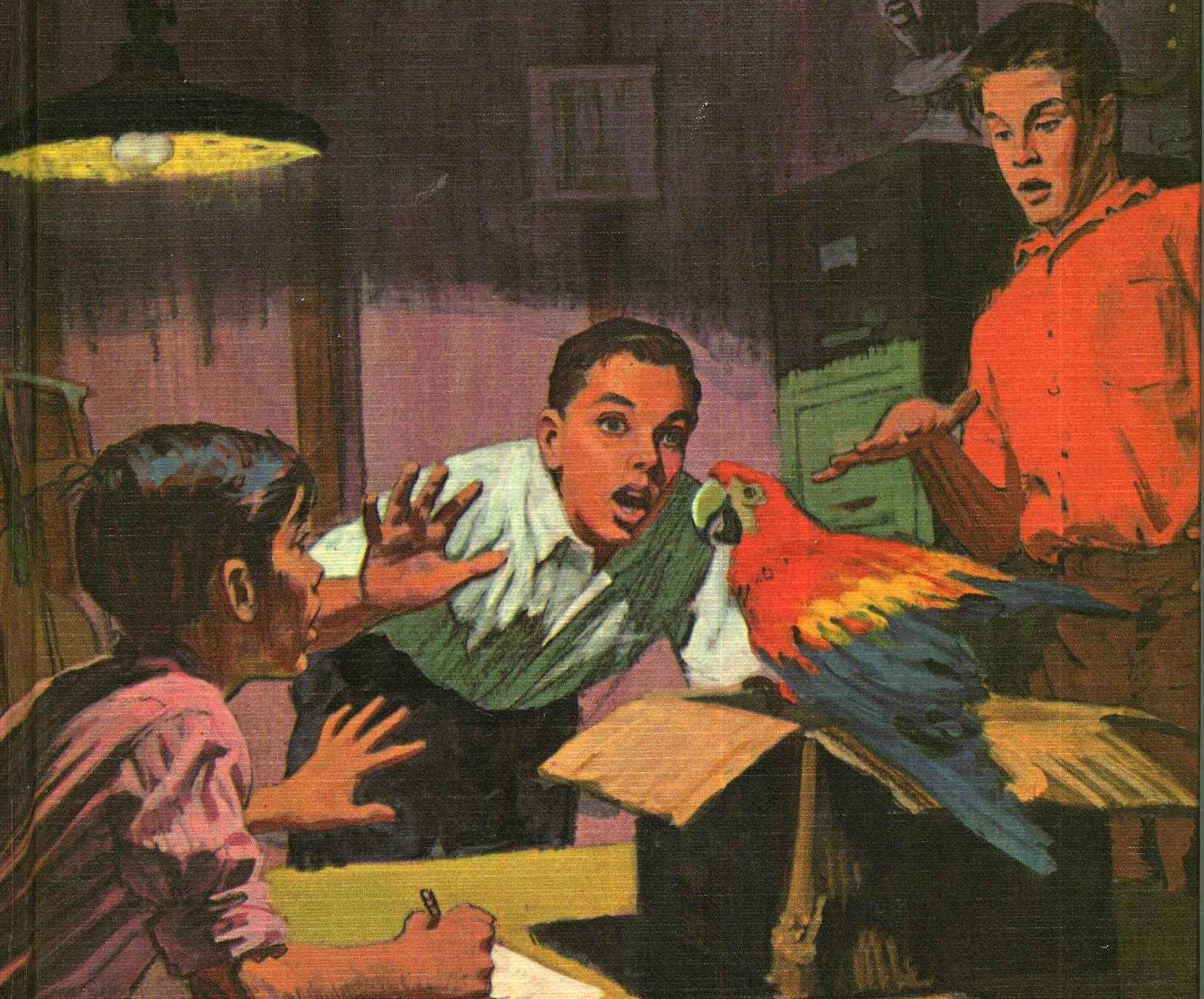 Three Detectives A Brief History of the Juvenile Mysteries You Checked Out of the ...