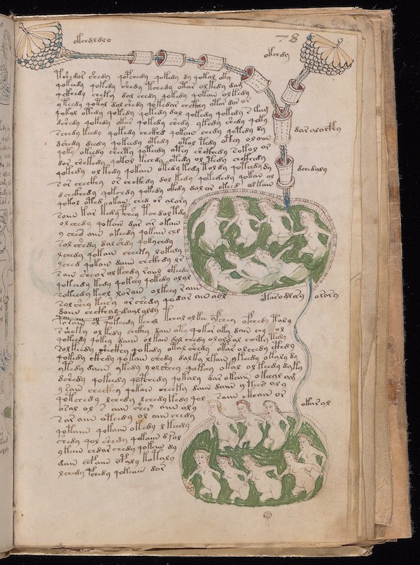 On The Voynich Manuscript The Most Indecipherable Coded Text Ever 2682