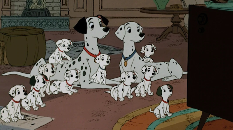 101 dalmatian puppies