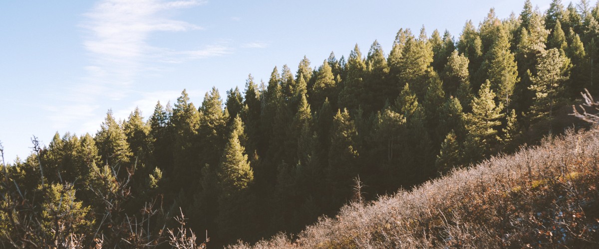 Mystery in the Mountains: 10 Novels Set in the High Country of the American West