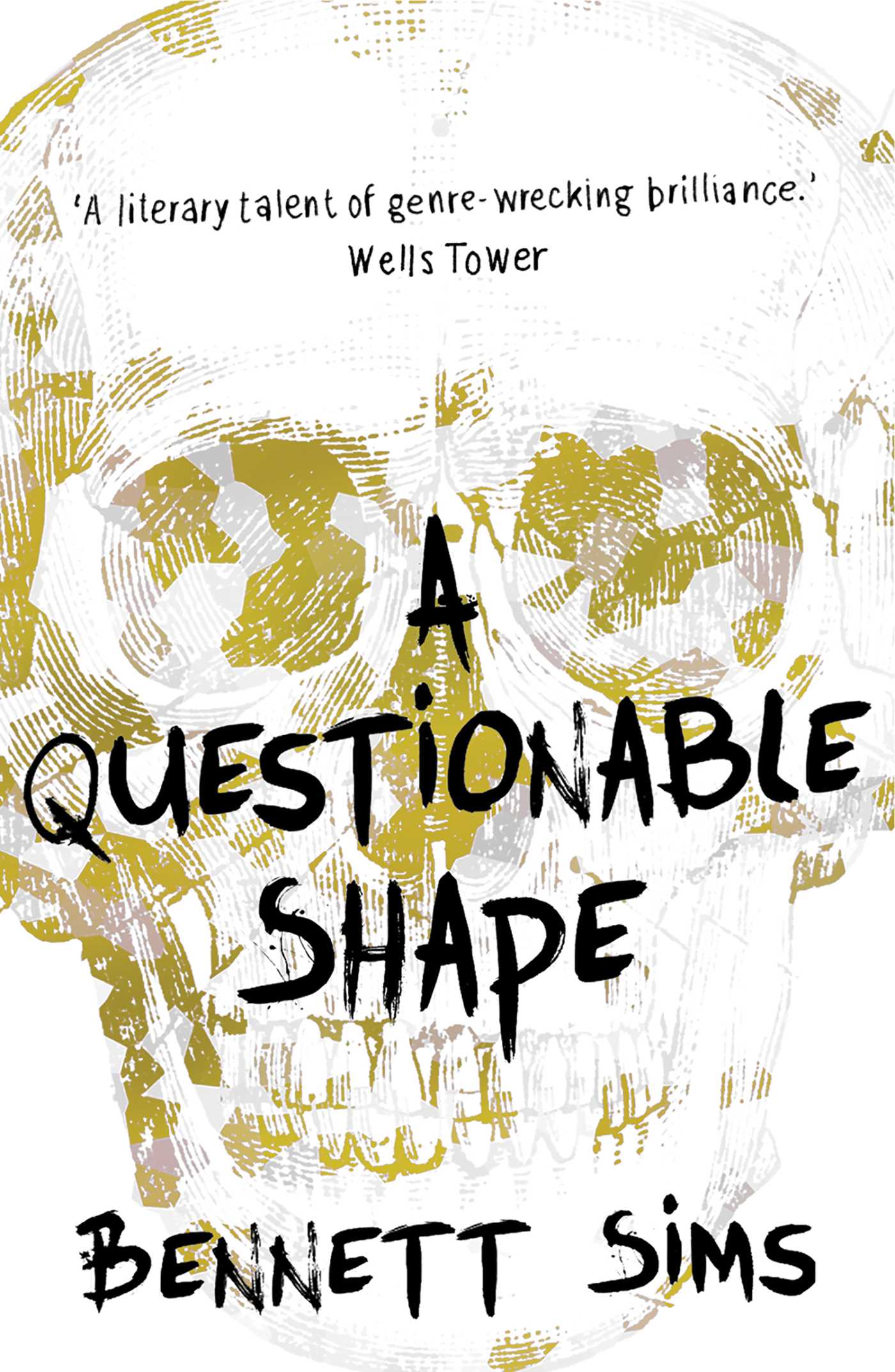 Scary Questionable Brutal, Terrifying, and Unclassifiable: Beyond the Literary/Horror ...