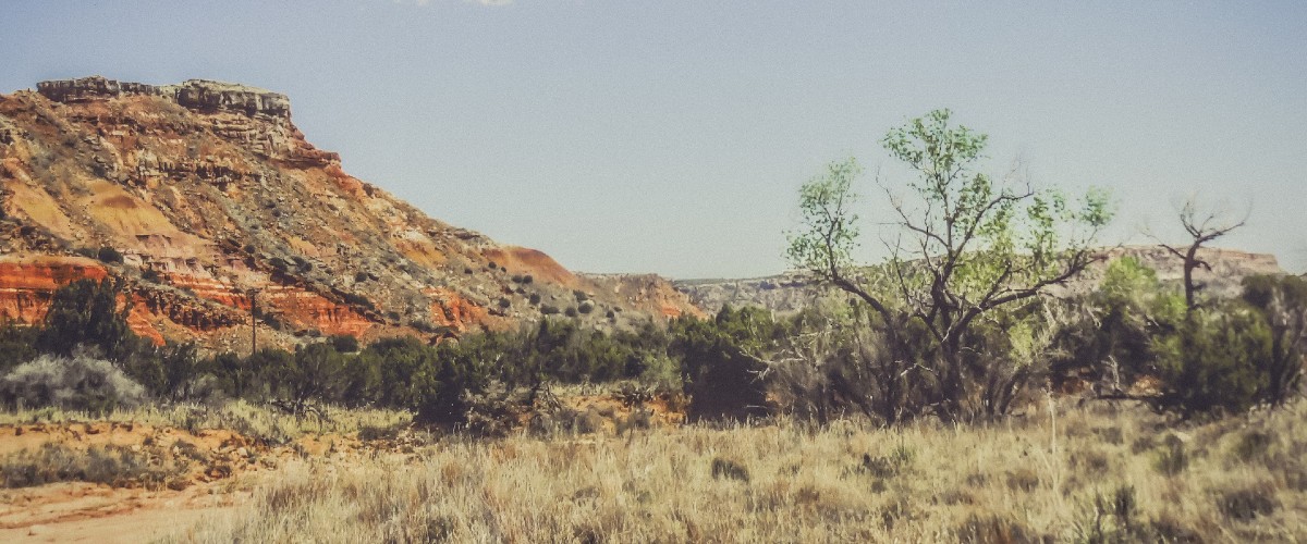 Taylor Moore on Thrillers in the New Green West