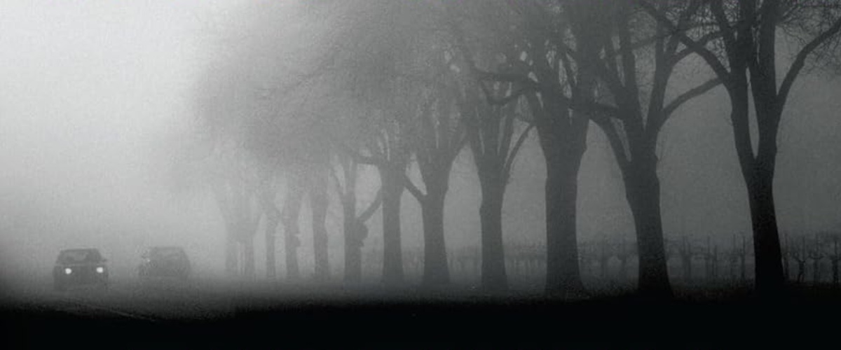 10 New Books Coming Out This Week