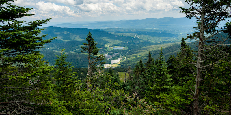 Green Mountain Mysteries: A Taxonomy of Vermont Noir