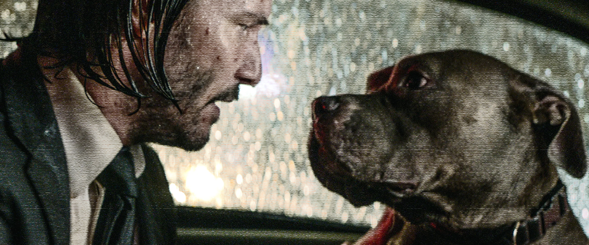 Leash Law & Order: The Six Best Pet Parents in Crime Fiction