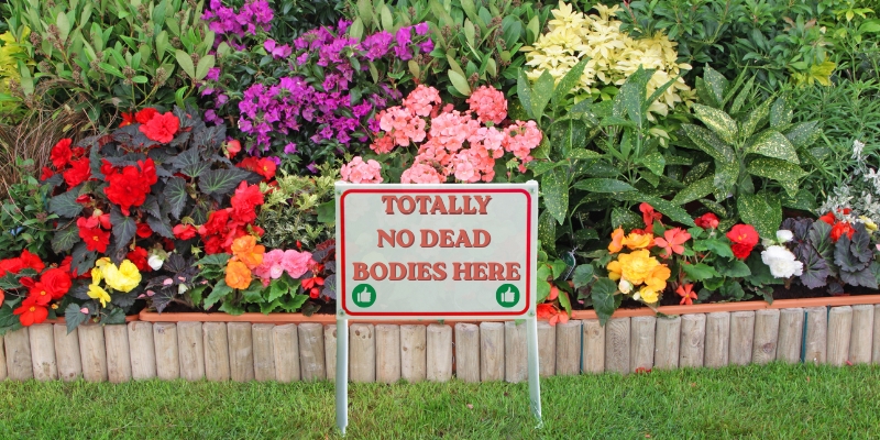 How to Hide a Body and (Maybe) Get Away with Murder in Fiction