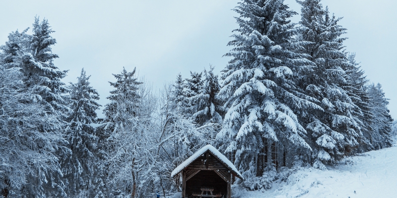 9 Suspense Novels with Unforgettable Settings